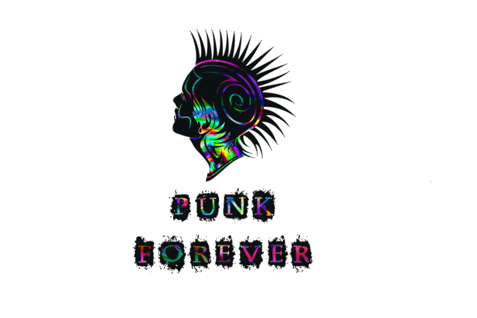 Top Punk Evergreen Hit Albums