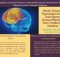 Martin Polanco_Most Popular Psychedelic Drugs and How They Affect Your Brain